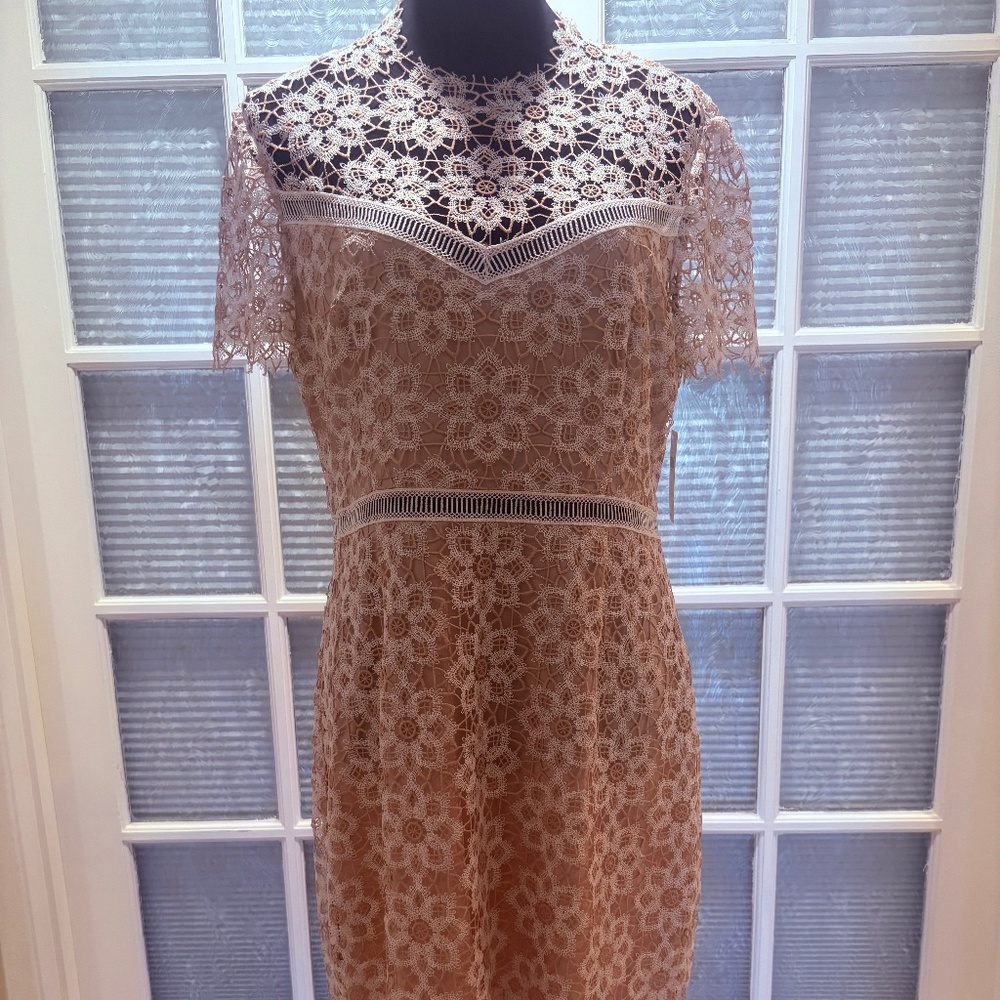 Anthropologie Pink and White Lace Midi Dress Size LP